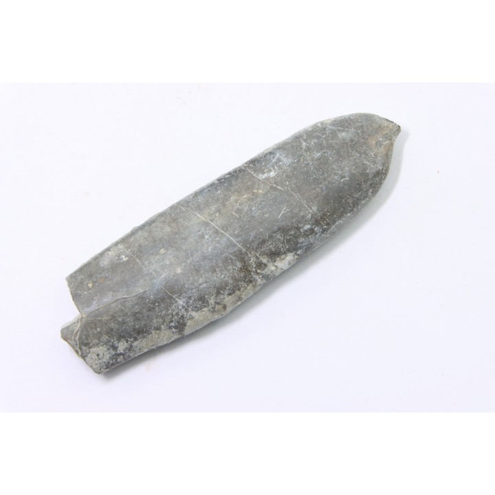 bélemnite: Duvalia dilatata - upper Valanginian - Alpes de haute Provence - France