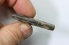 bélemnite: Duvalia dilatata - upper Valanginian - Alpes de haute Provence - France