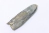 bélemnite: Duvalia dilatata - upper Valanginian - Alpes de haute Provence - France