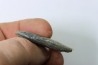 bélemnite: Duvalia dilatata - upper Valanginian - Alpes de haute Provence - France