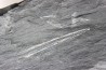 Intéressant GRAPTOLITES Didymograptus artus - Ordovician - fmt de Treveusot - La Dominelais - BRITANY- FRANCE