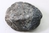 Scute d Ankylosaure - Hell Creek  Formation - Dawson Conty, Montana, USA