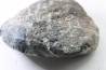 Ankylosaur scute - Hell Creek  Formation - Dawson Conty, Montana, USA