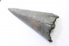 billfish rostrum (lower jaw) MARLIN  Miocene  south Carolina  - USA