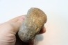 Lytoceras sublineatum   - toarcien moyen - Charolles - FRANCE