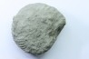 Nodule d'HOPLITE à dégager - albien moyen - ancienne carrière Courcelles - Aube - France