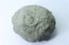 Nodule d'HOPLITE à dégager - albien moyen - ancienne carrière Courcelles - Aube - France