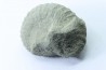 Nodule d'HOPLITE à dégager - albien moyen - ancienne carrière Courcelles - Aube - France