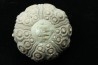 Typocidaris mallum (Gras 1848) - upper barremian - Agadir, Morocco