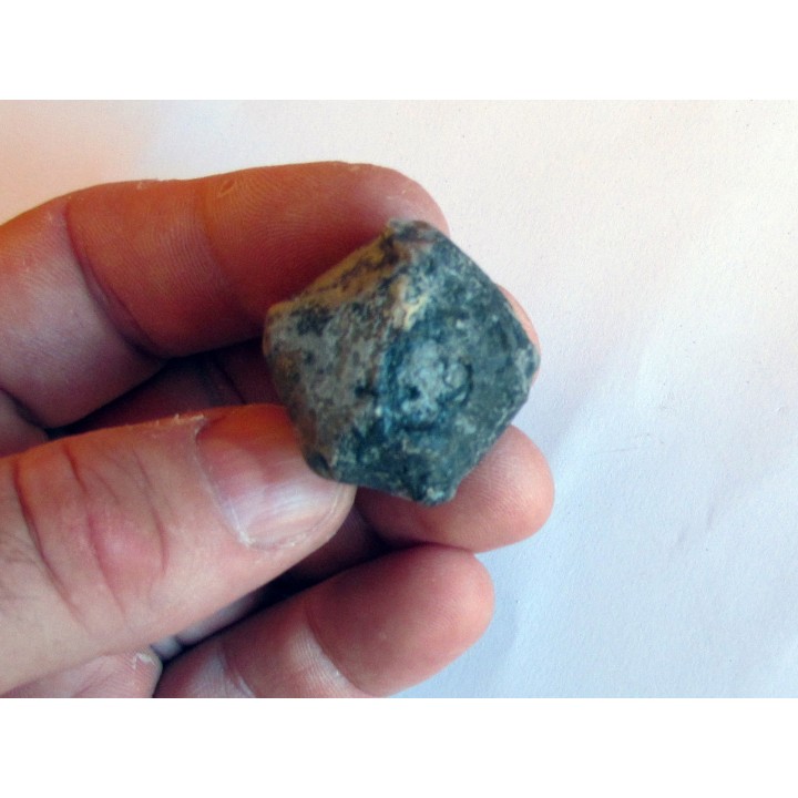 MELOCRINITES HIEROGLYPHICUS - upper Frasnian - TRELON - FRANCE