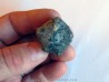 MELOCRINITES HIEROGLYPHICUS - upper Frasnian - TRELON - FRANCE
