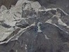 EURYPTERUS REMIPES - Silurien - Fiddler's Green FMT - Herkimer County, NY – USA