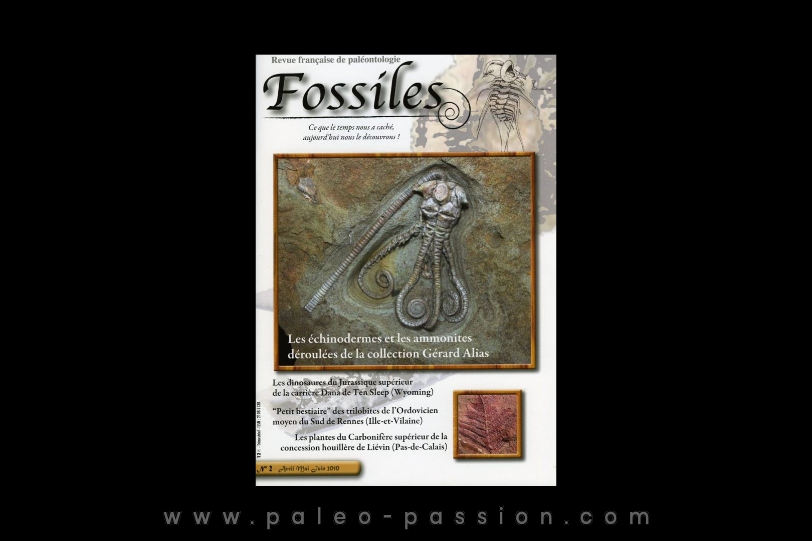 revue FOSSILES n°2 - avril mai juin 2010