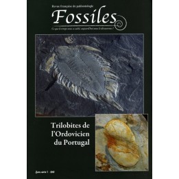 FOSSILES hors série 2010 Trilobites de l’Ordovicien du Portugal