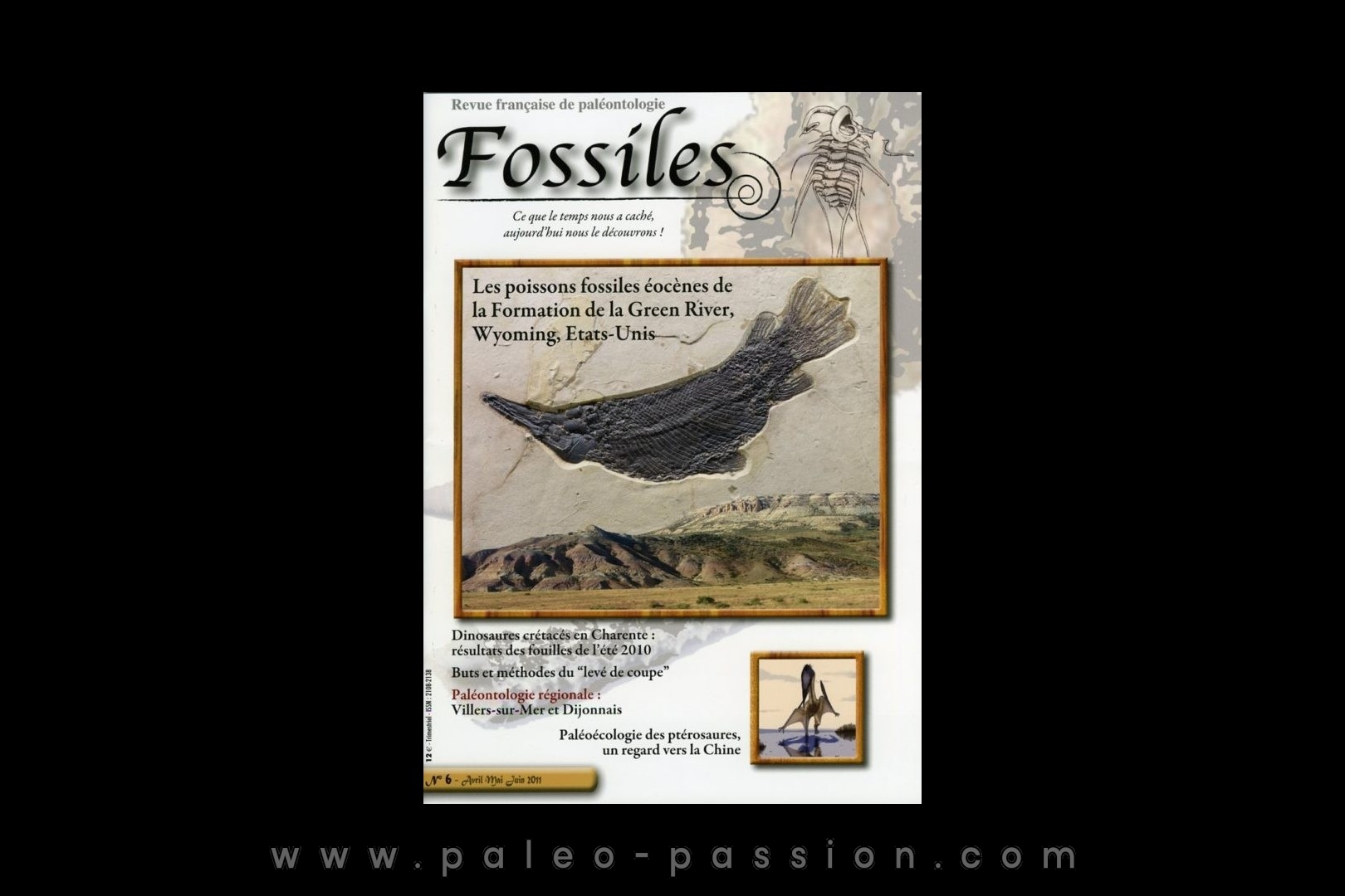 revue FOSSILES n°6 - avril mai juin 2011
