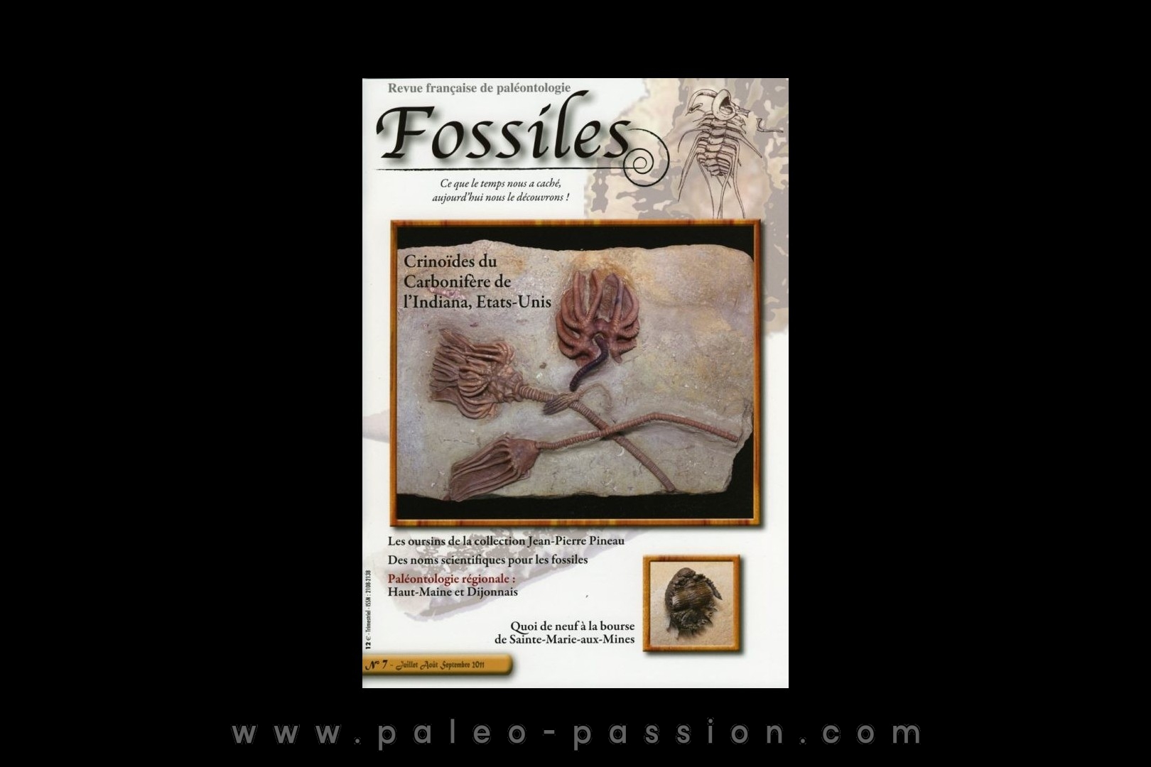 revue FOSSILES n°7 - juillet aout septembre 2011