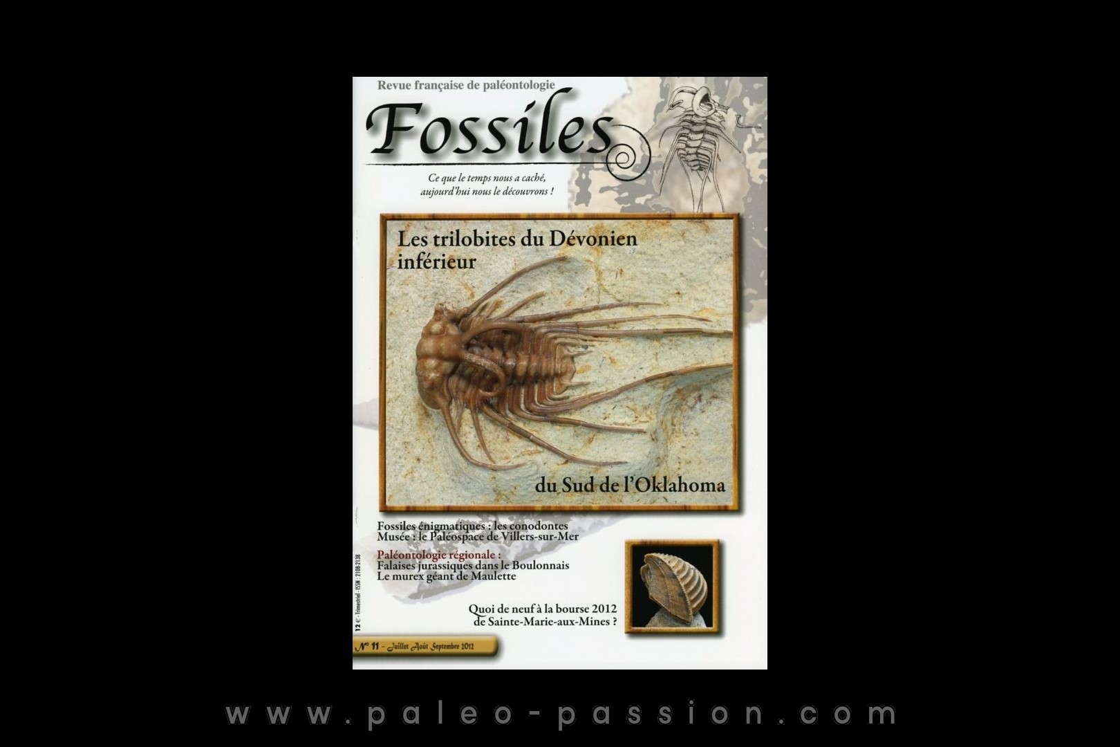 revue FOSSILES n°11 - juillet aout septembre 2012