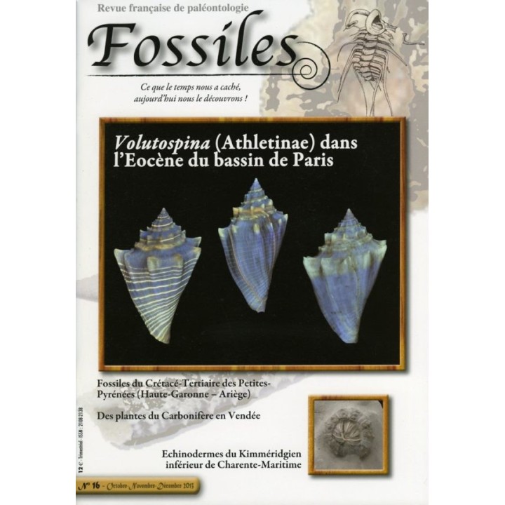 FOSSILES hors série 2012 LES COQUILLAGES DE L'EOCENE DU BASSIN PARISIEN