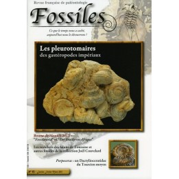 revue FOSSILES n°13 - janvier fevrier mars 2013