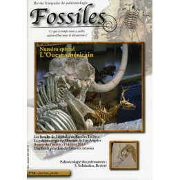 revue FOSSILES n°14 - avril mai juin 2013