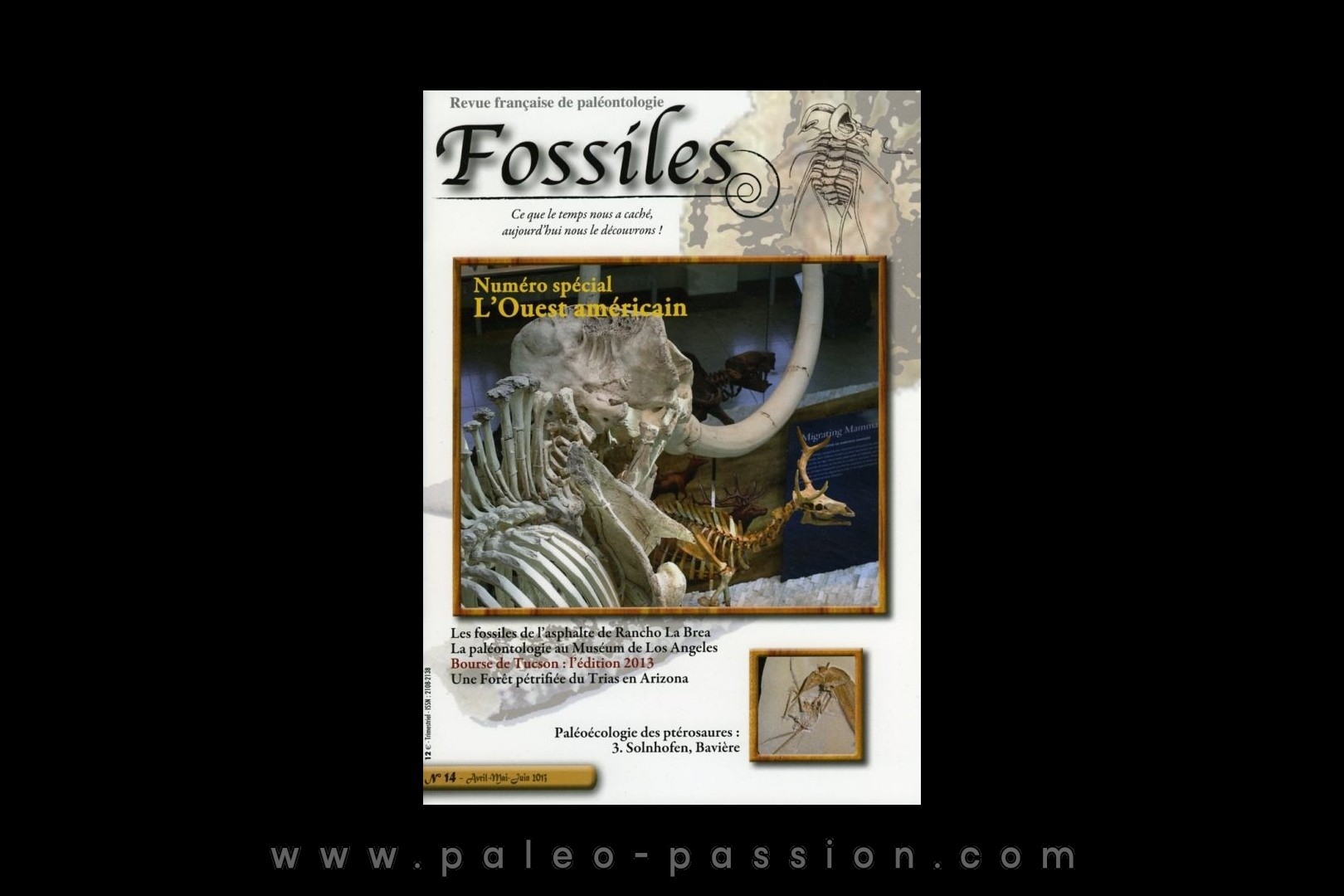 revue FOSSILES n°14 - avril mai juin 2013