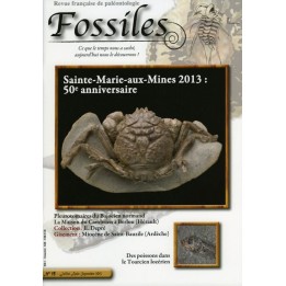revue FOSSILES n°15 - juillet aout septembre 2013