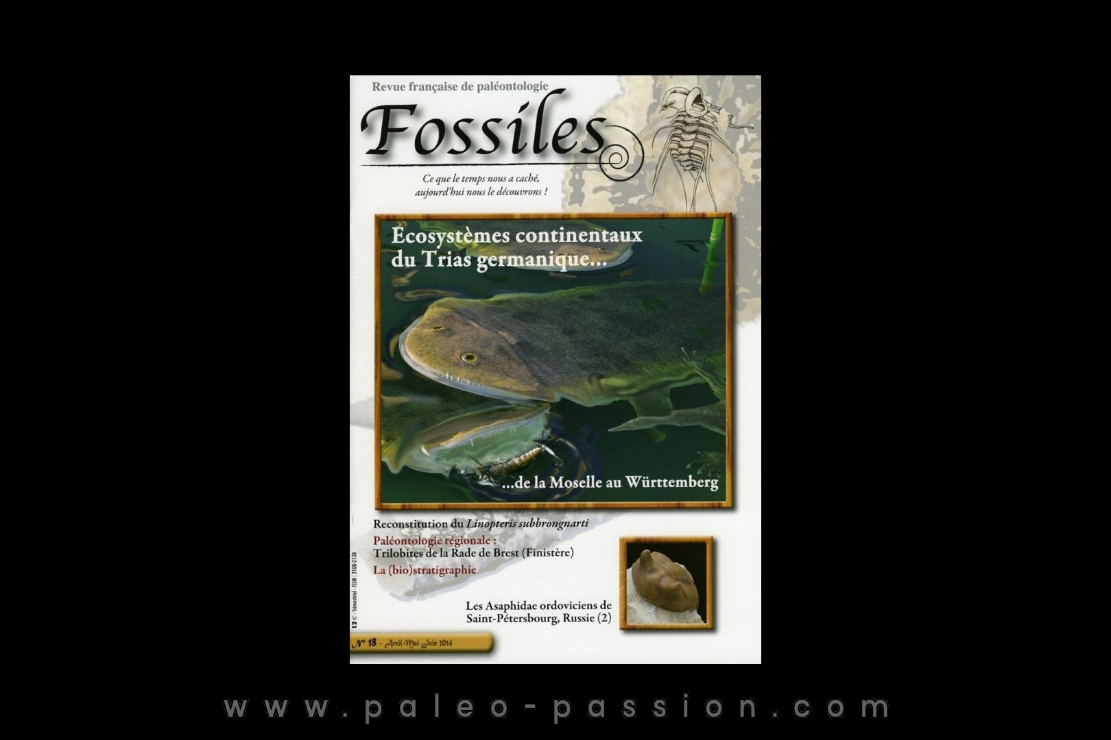 revue FOSSILES n°18 - avril mai juin 2014
