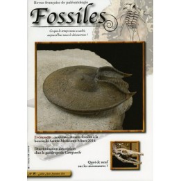 revue FOSSILES n°19 - juillet aout septembre 2014