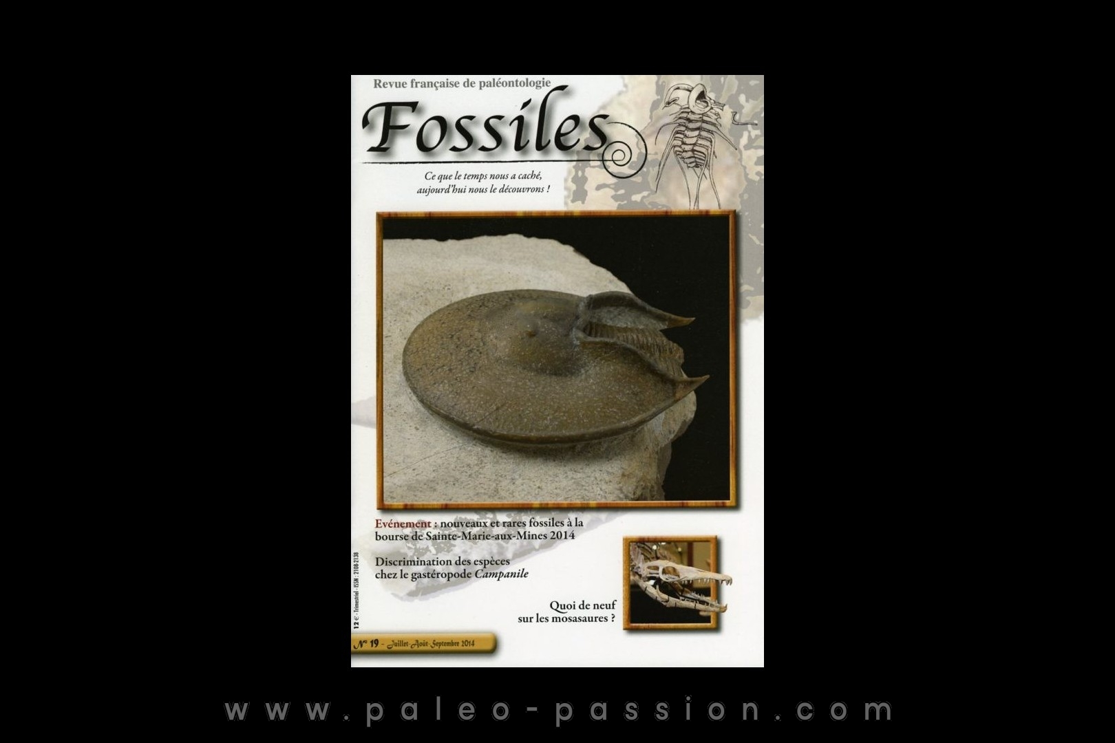 revue FOSSILES n°19 - juillet aout septembre 2014