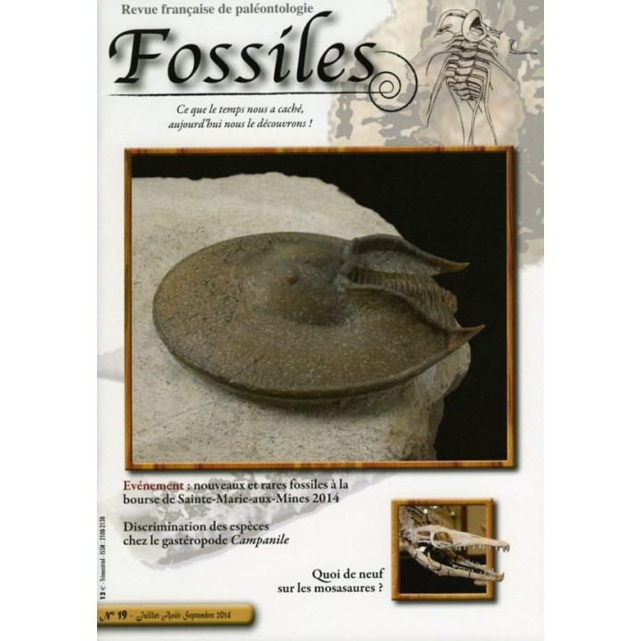 revue FOSSILES n°19 - juillet aout septembre 2014