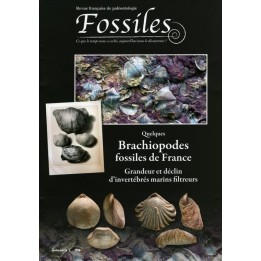 FOSSILES hors série 2014 Quelques Brachiopodes fossiles de France.