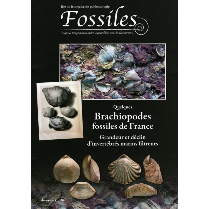 FOSSILES hors série 2014 Quelques Brachiopodes fossiles de France.