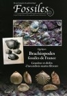 FOSSILES hors série 2014 Quelques Brachiopodes fossiles de France.