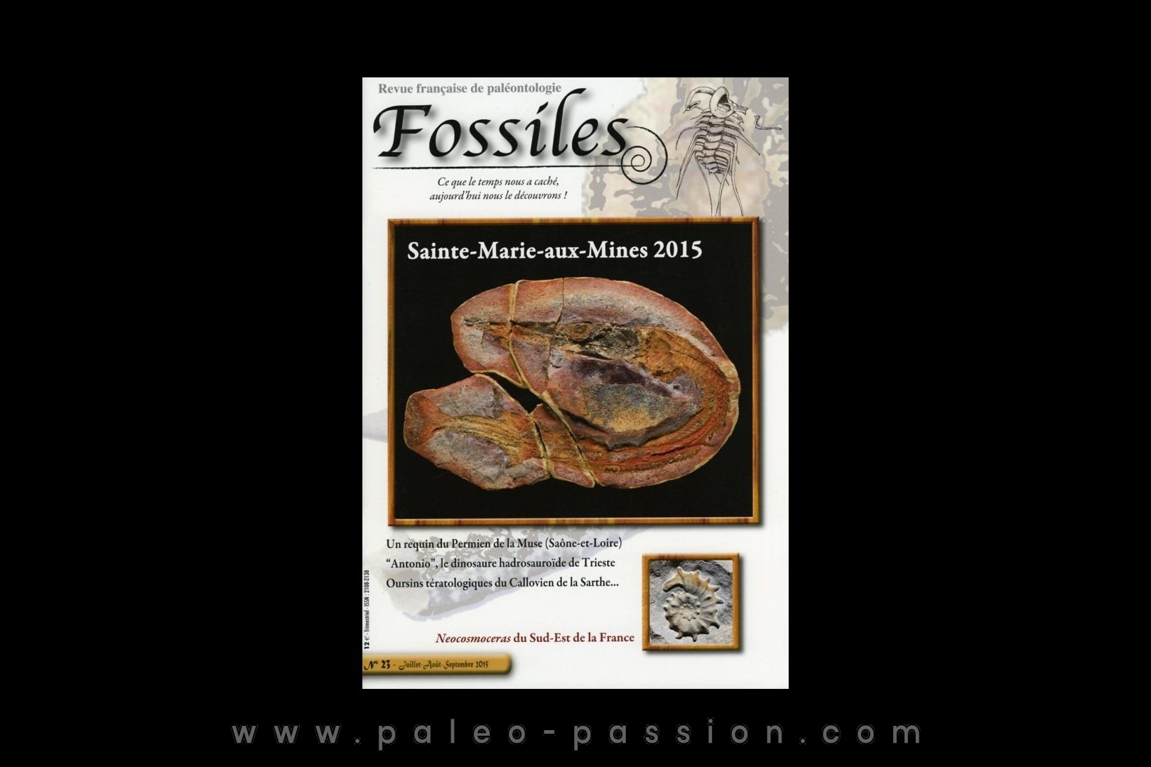 revue FOSSILES n°23 - juillet aout septembre 2015