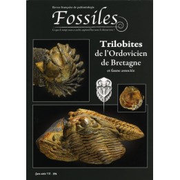 Fossiles Hors-Série 2016 – Les Trilobites de l’Ordovicien de Bretagne