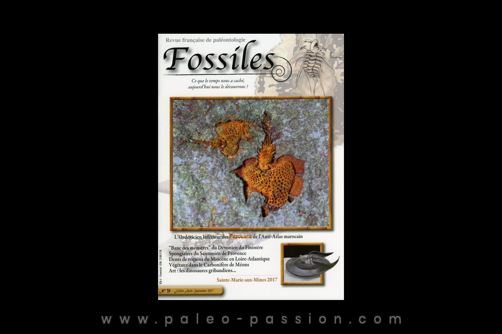 revue FOSSILES n°31 - juillet aout septembre 2017
