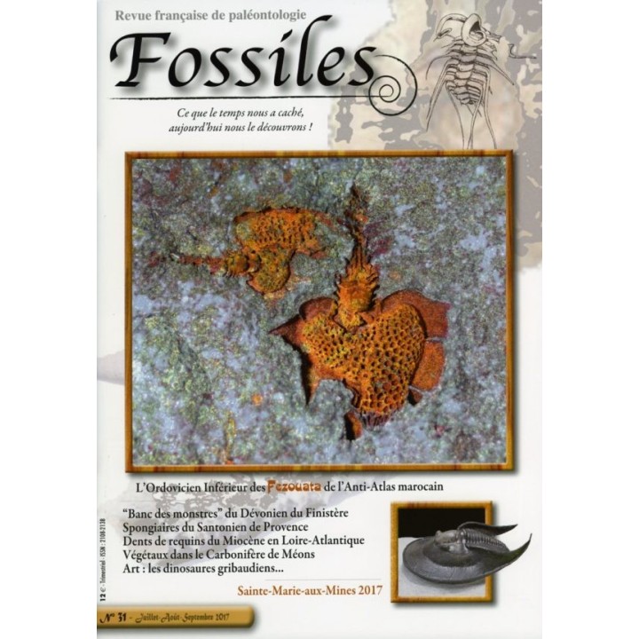 revue FOSSILES n°31 - juillet aout septembre 2017