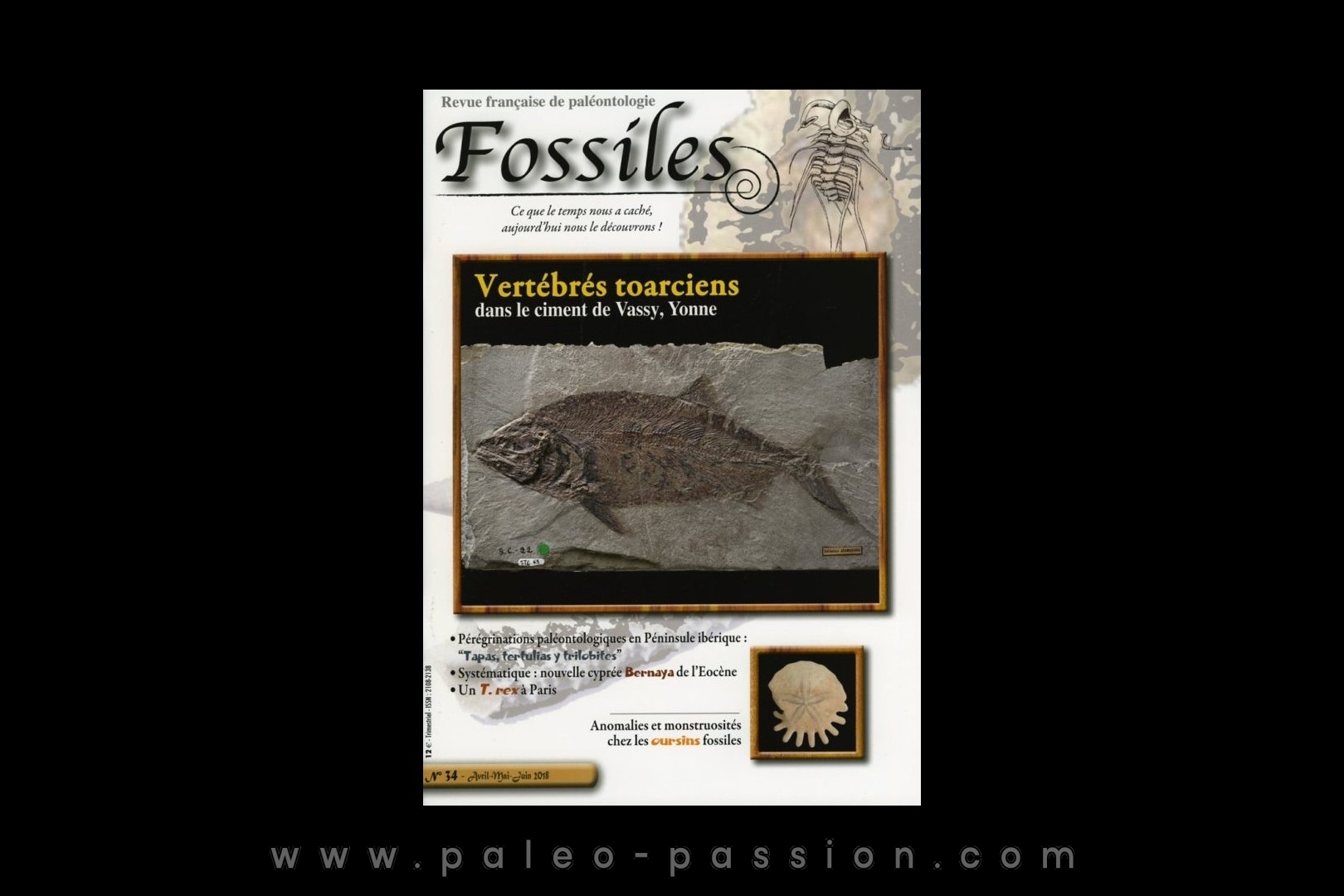 revue FOSSILES n°34 - avril mai juin 2018