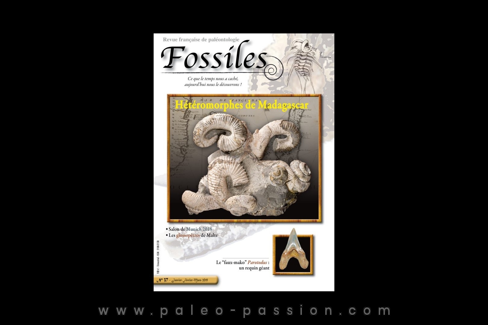 revue FOSSILES n°37 - janvier février mars 2019