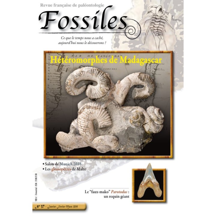 revue FOSSILES n°37 - janvier février mars 2019