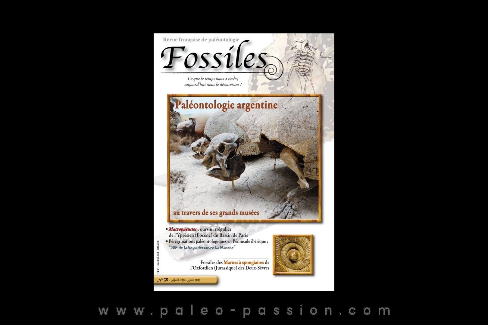 revue FOSSILES n°38 - avril mai juin 2019