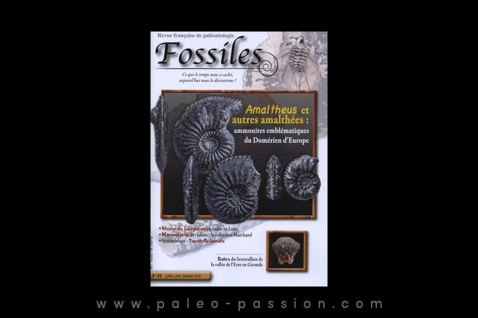 revue FOSSILES n°43 - juillet aout septembre 2020