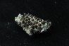 Lepidotes teeth : Scheenstia mantelli - Berriasian - Cherves-de-cognac, FRANCE