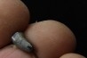 dinosaure Tooth : Nuthetes destructor - Berriasian- lieu dit "Champblanc", Cherves-de-cognac, FRANCE
