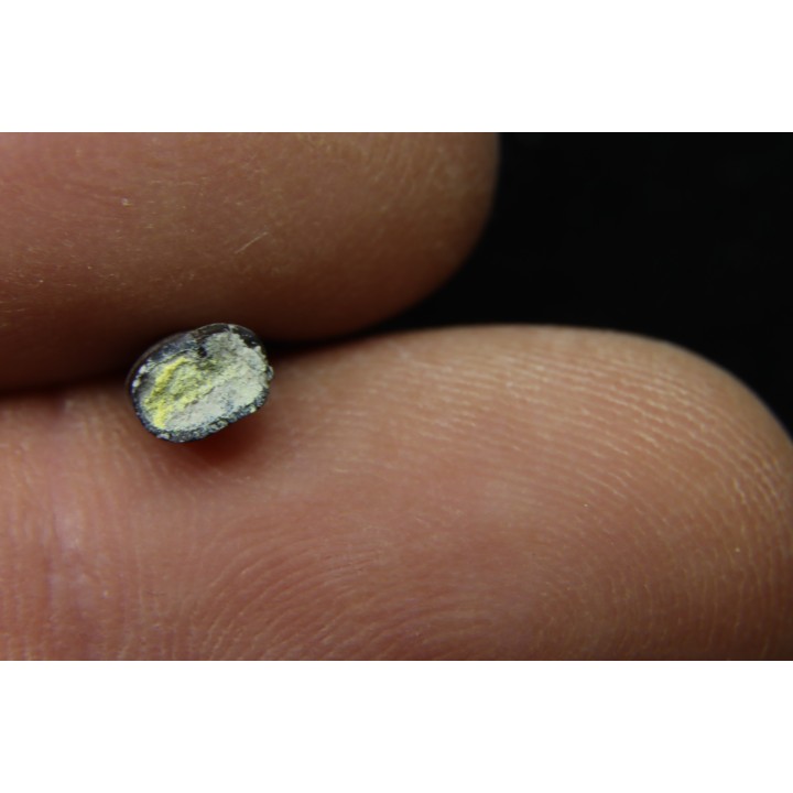 dinosaure Tooth : Nuthetes destructor - Berriasian- lieu dit "Champblanc", Cherves-de-cognac, FRANCE