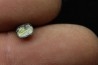 dinosaure Tooth : Nuthetes destructor - Berriasian- lieu dit "Champblanc", Cherves-de-cognac, FRANCE