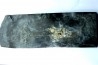 Phragmoteuthis conocauda - toarcien inférieur - carrière fischer, Holzmaden - conservé avec "crochets" des bras, RARE!