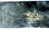 bélemnite: Duvalia dilatata - upper Valanginian - Alpes de haute Provence - France
