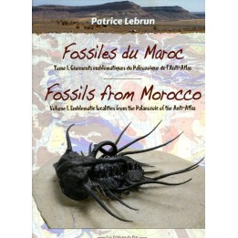 Fossiles du Maroc - Volume 1 : Gisements emblématiques du Paléozoïque de l'Anti-Atlas