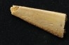 PTEROSAUR partial jaw : APATORHAMPHUS GYROSTEGA - CENOMANIAN - Kem Kem , Morocco